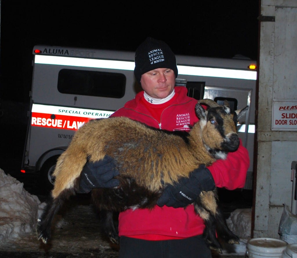 02-10-14 Ludlow Rescue Goat & Brian