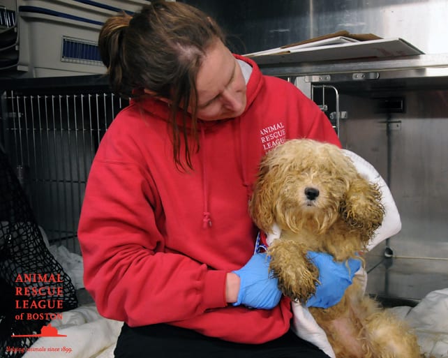 03-6 Lynnfield Rescue Danielle & Dog