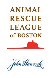 Boston Marathon