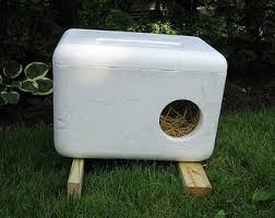 winter shelter ferl cats