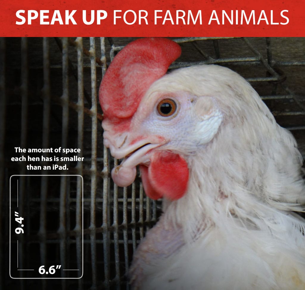 Happening Now ARL Joins Coatlition to Improve the Protection and