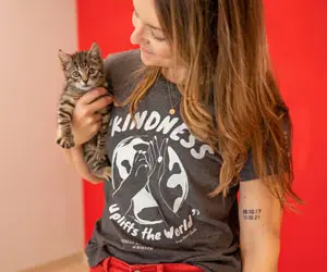 A person holding a small tabby kitten