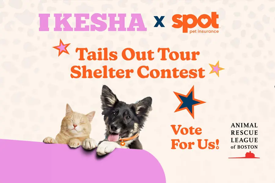 Kesha Tails Out contest graphic featuring a cat and dog
