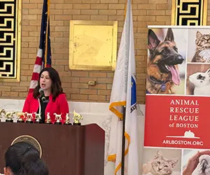 A person standing at a podium