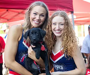 patriots blog thumb