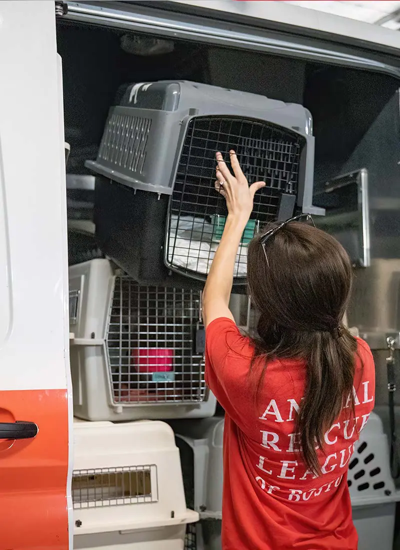 A person wearing a red ARL shirt, loading a dog crate into the a white and red van.