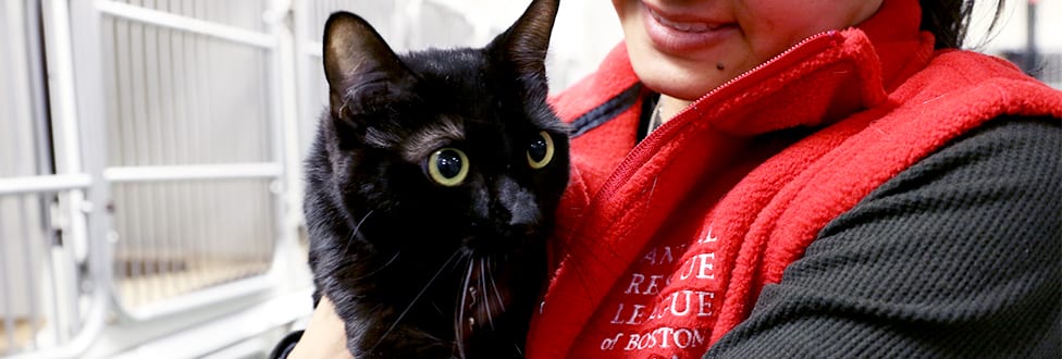 ARL staff member holding black cat