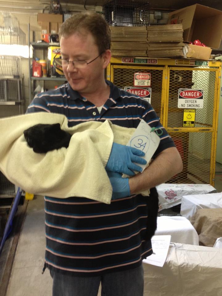 Boston Fix a feral cat spay/neuter program