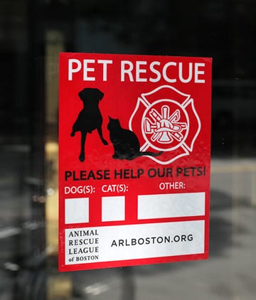 pet rescue window cling