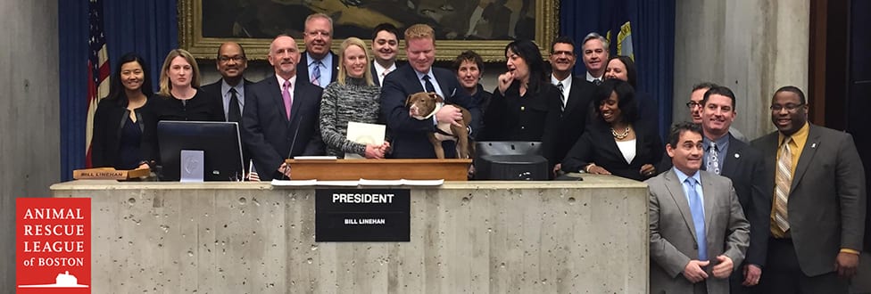 group photo of boston city council 