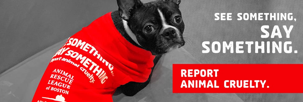 See Something, Say Something - Report Animal Cruelty