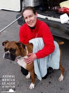 icy dog rescue after