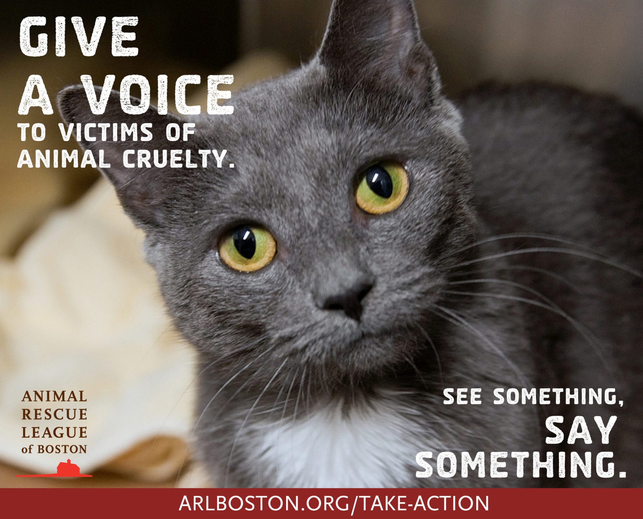 what is animal cruelty and how Animal cruelty is without question one of the sickest and most despicable crimes in the world, and also the most preventable people engage in animal abuse in every. what is animal cruelty and how Animal cruelty is without question one of the sickest and most despicable crimes in the world, and also the most preventable people engage in animal abuse in every.