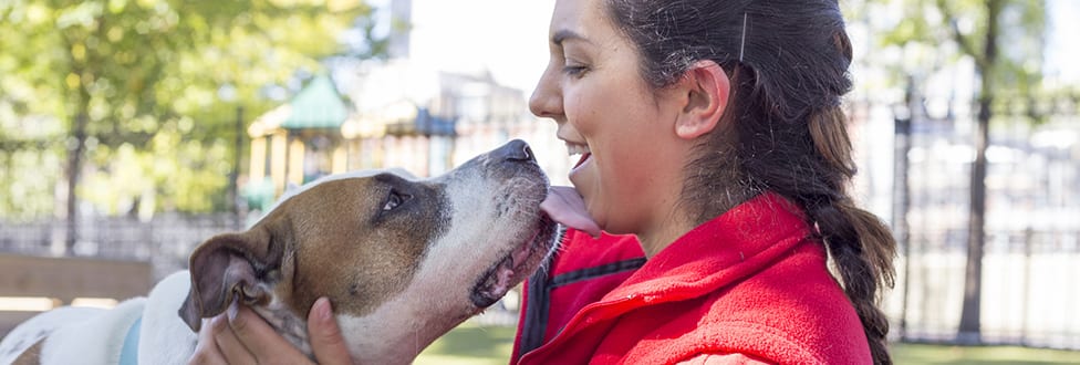 3 real health benefits of owning a dog