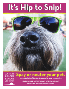 debunked spay and neuter myths spay neuter flyer