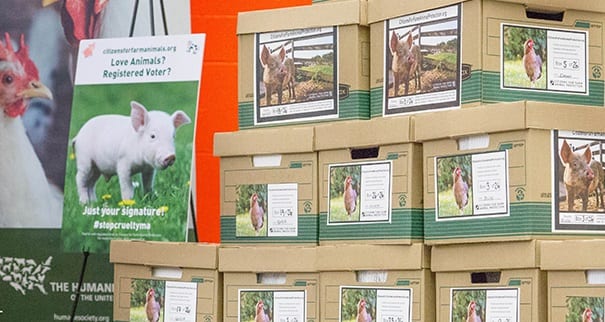 Take Action for Animals on February 11