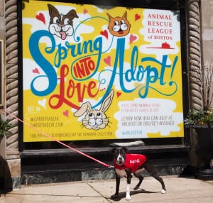 Check out the ARL on Newbury Street