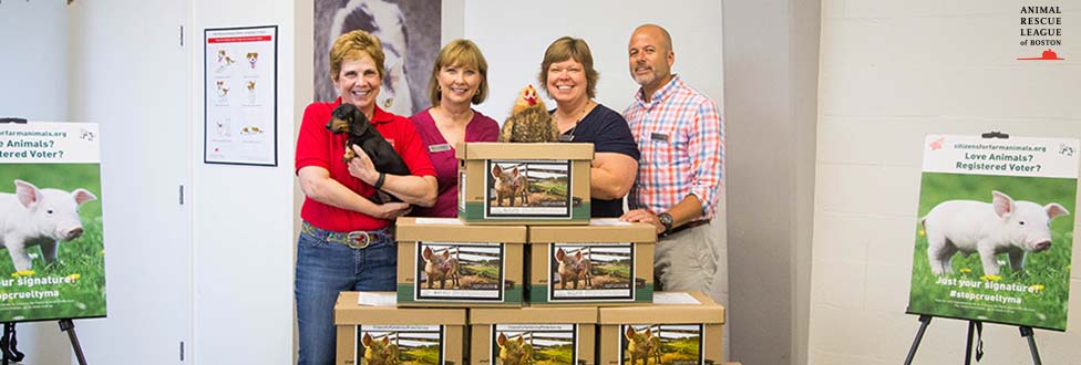 ARL staff pose with signature boxes