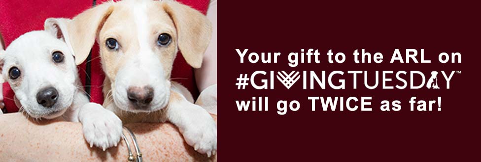 Donate to the ARL on #GivingTuesday