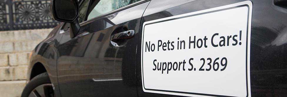 Pets in hot cars demo at the State House