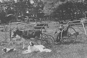 ARL_History_pine_ridge ARL Pine Ridge