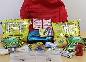 A sample pet emergency kit.