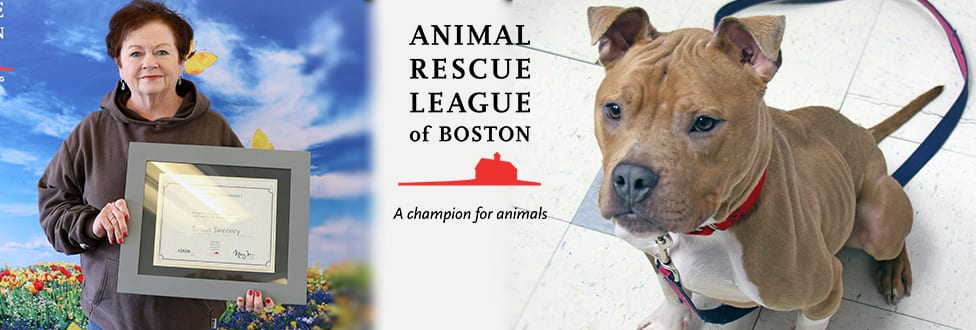 A Life-Saving Phone Call - Animal Rescue League of Boston