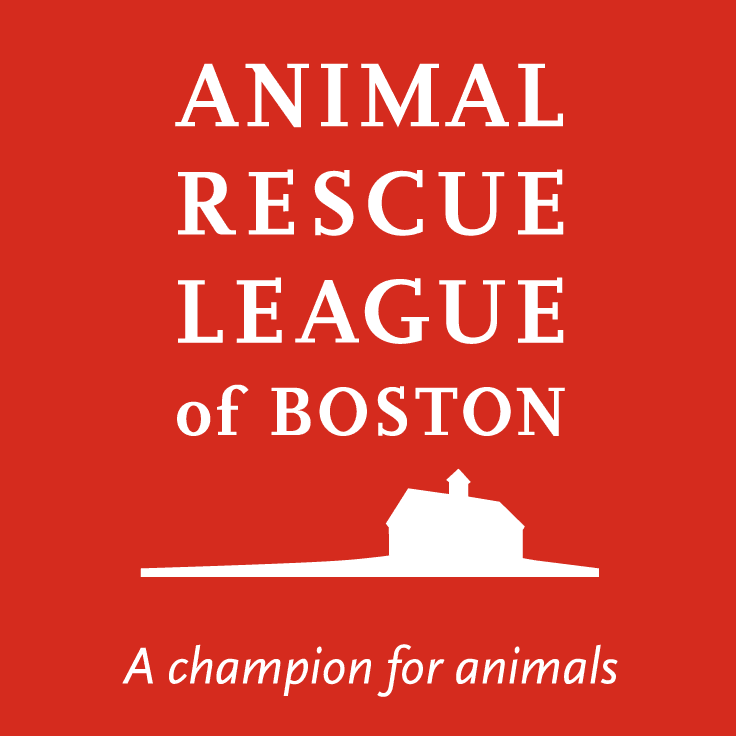 animal rescue league