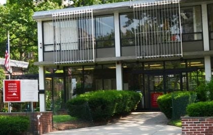 Boston Shelter