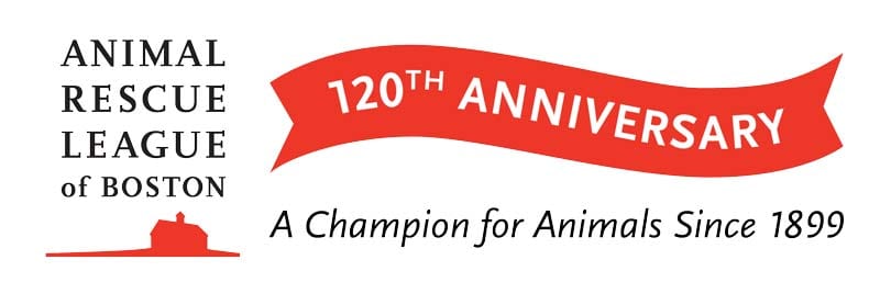 ARL 120-year word mark