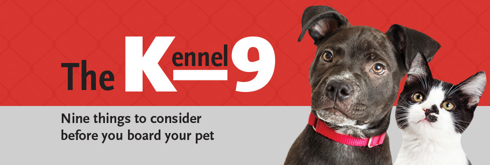 kennel-9 graphic