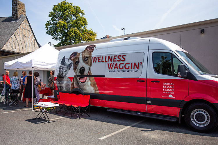 ARL Partners with ABCD in Pet Wellness Program Expansion - Animal Rescue  League of Boston