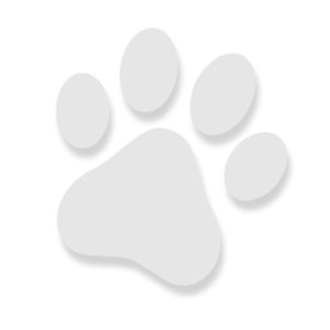 Paw icon