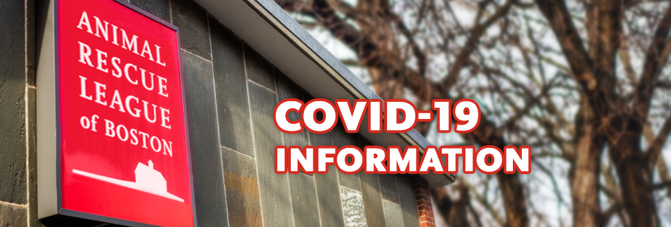 COVID-19 information graphic