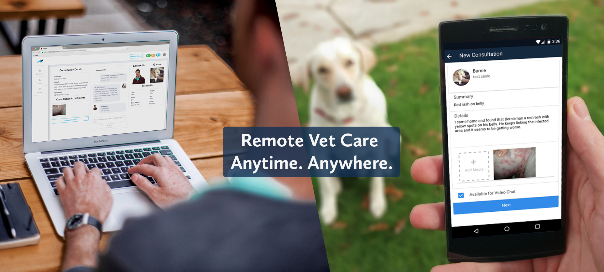Televet web header Boston Veterinary Care is now offering Telemedicine