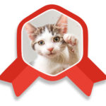 kitten ribbon graphic