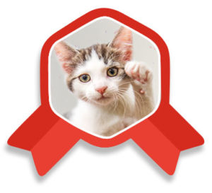 Kitten Kuddlers Wall of Honor Badge