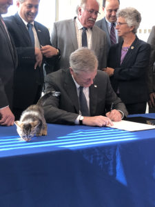 Governor Charlie Baker signing PAWS II into law