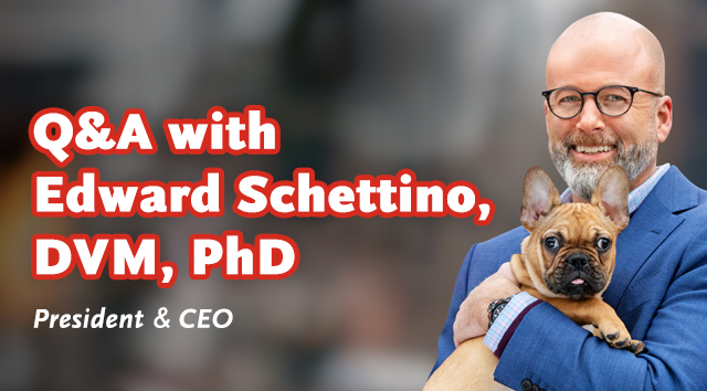 Q and A with Dr. Edward Schettino
