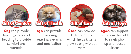 kitten symbolic gifts