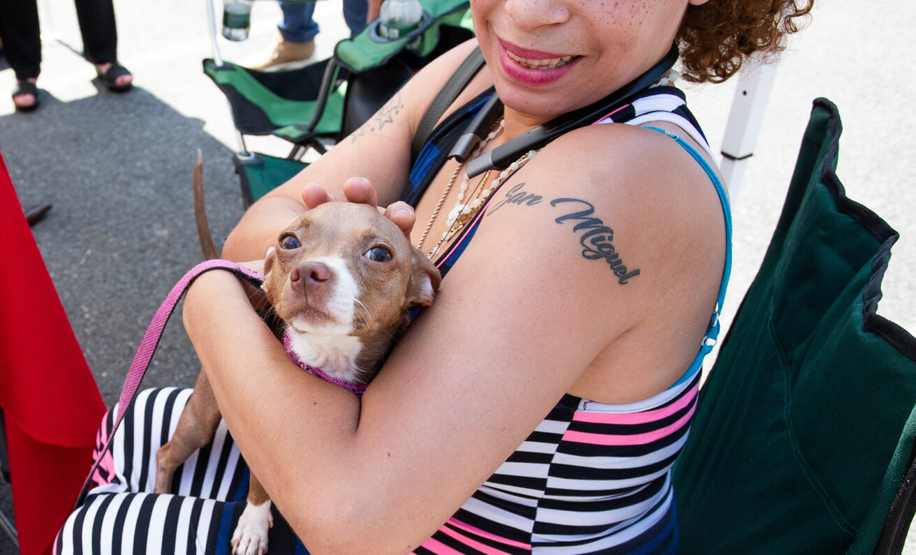 person holding a dog