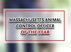 Massachusetts Animal Control Officer of the Year graphic