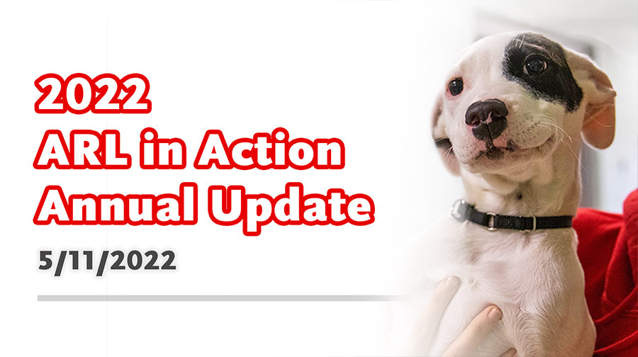 Annual Update thumbnail featuring ARL puppy