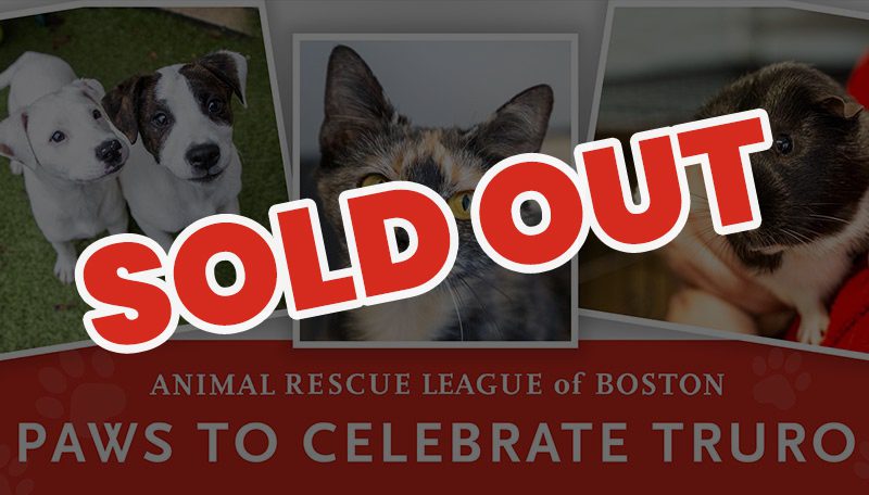 Sold out event banner with animal photos