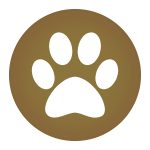 bronze paw print