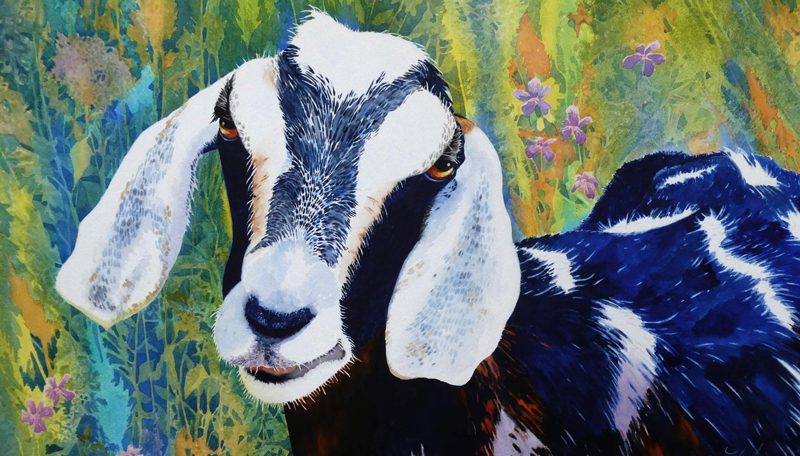 goat painting