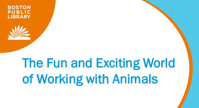 Boston Public library header showing logo and text "The Fun and Exciting World of Working with Animals"