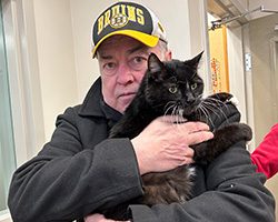 Black and white cat being held by owner