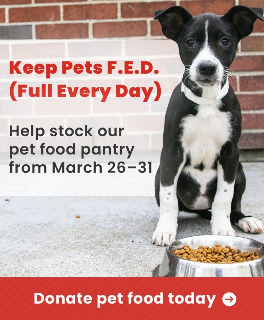 Small black and white puppy sitting behind a bowl of dog food. Words "Keep Pets F.E.D. (Full Every Day" "Help stock our pet food pantry from March 26-31" and "Donate pet food today".
