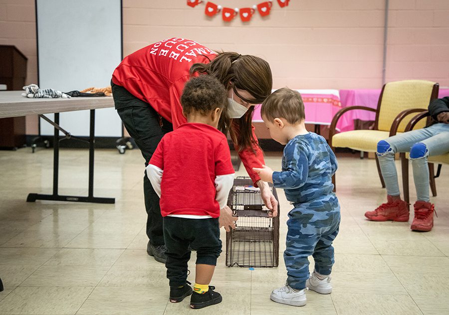 Two small children and ARL staff member look at a humane cat trap
